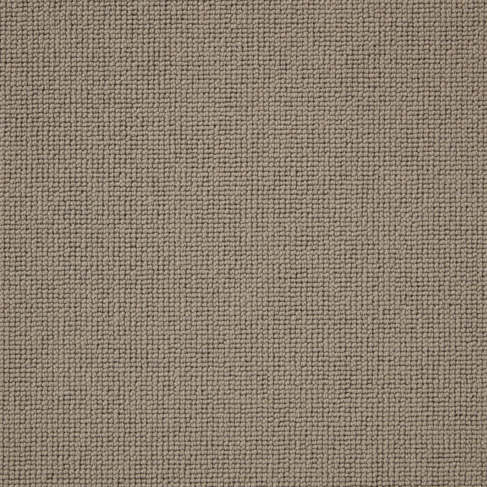 Dense warm taupe wool loop texture with fine pebbled variation