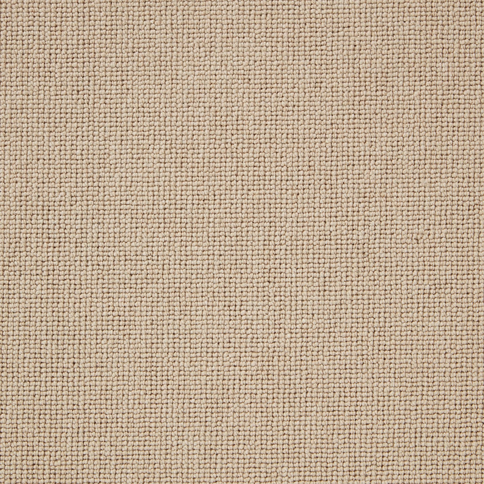 Warm oatmeal-beige Wool Loop carpet with dense tiny loops and subtle darker flecks