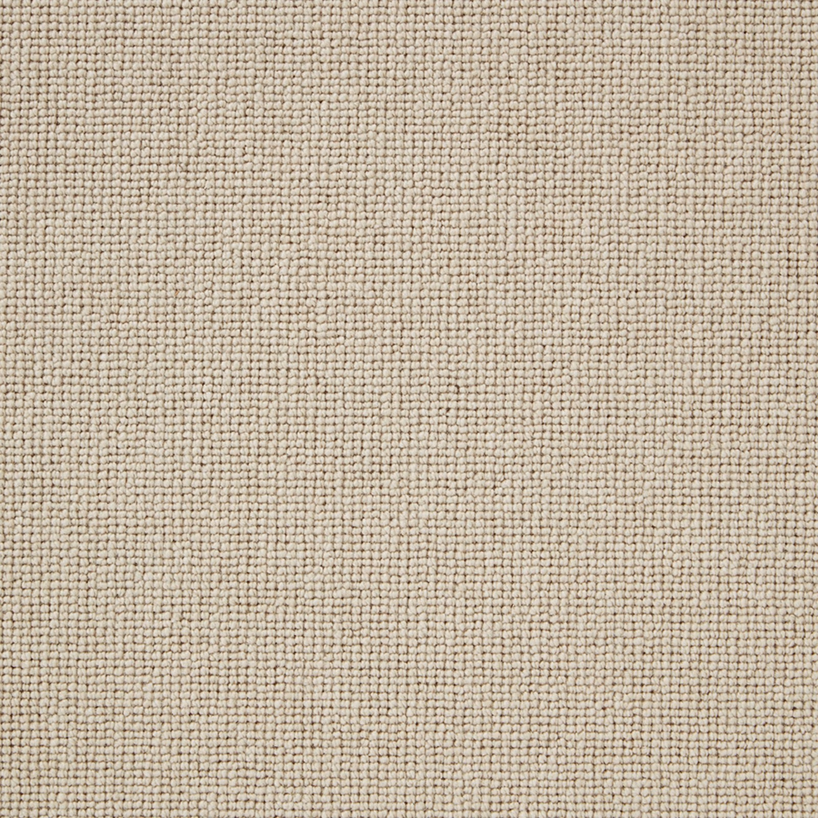 Close-up of warm oyster-beige wool loop texture with subtle grey flecks