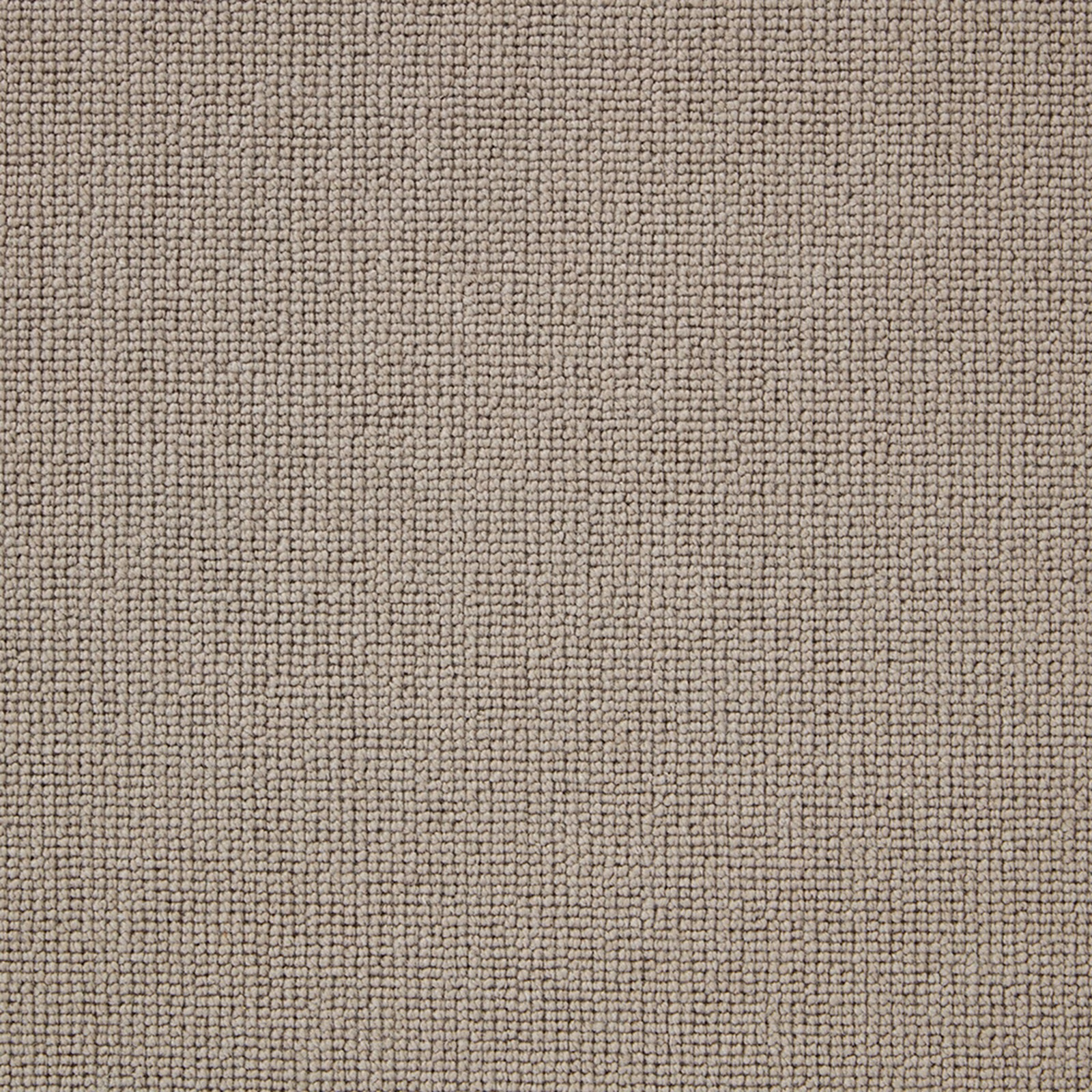 Close-up of muted taupe-grey Wool Loop with dense, finely pebbled texture