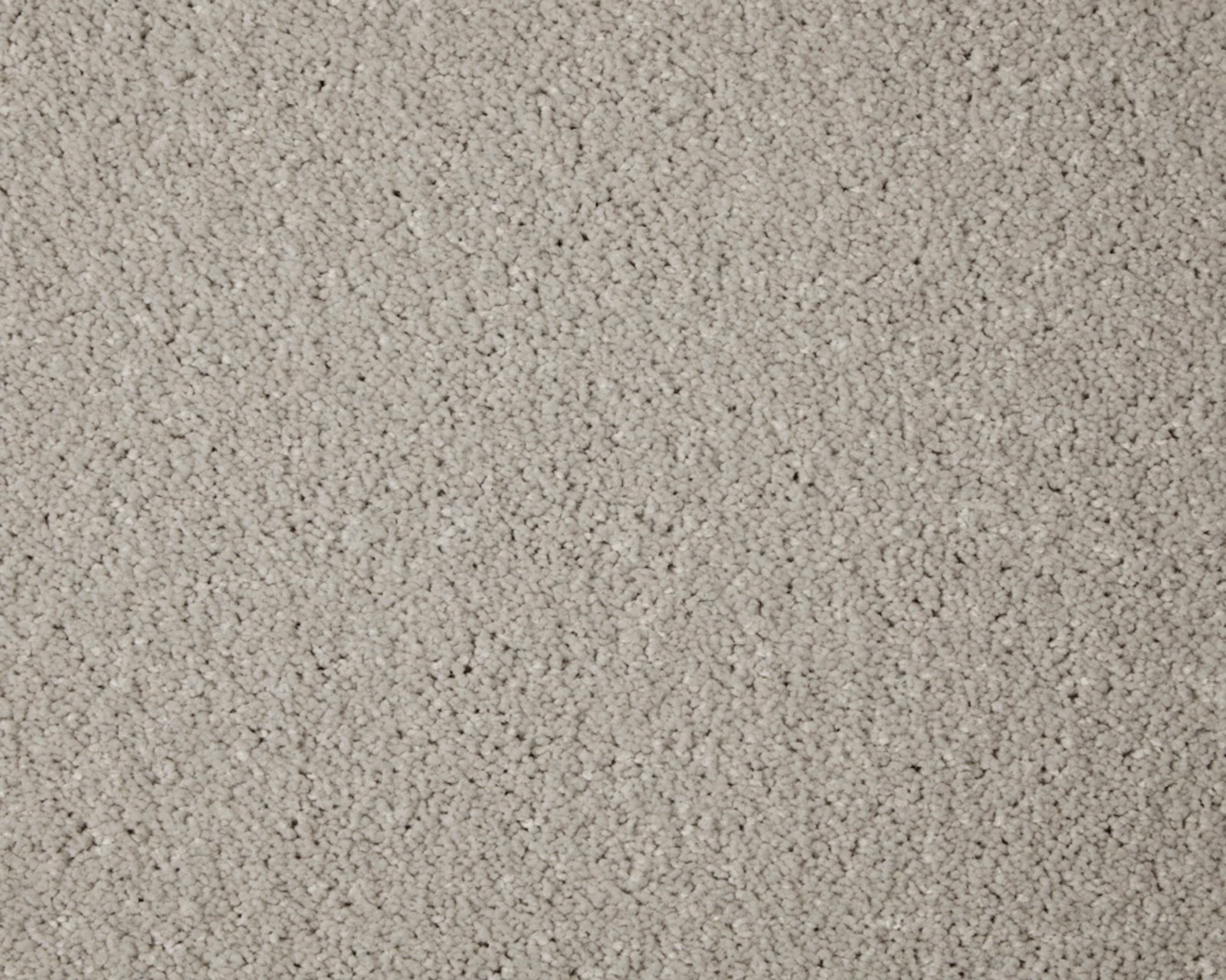 Close-up of softly flecked light grey pile with a dense, pebbled texture