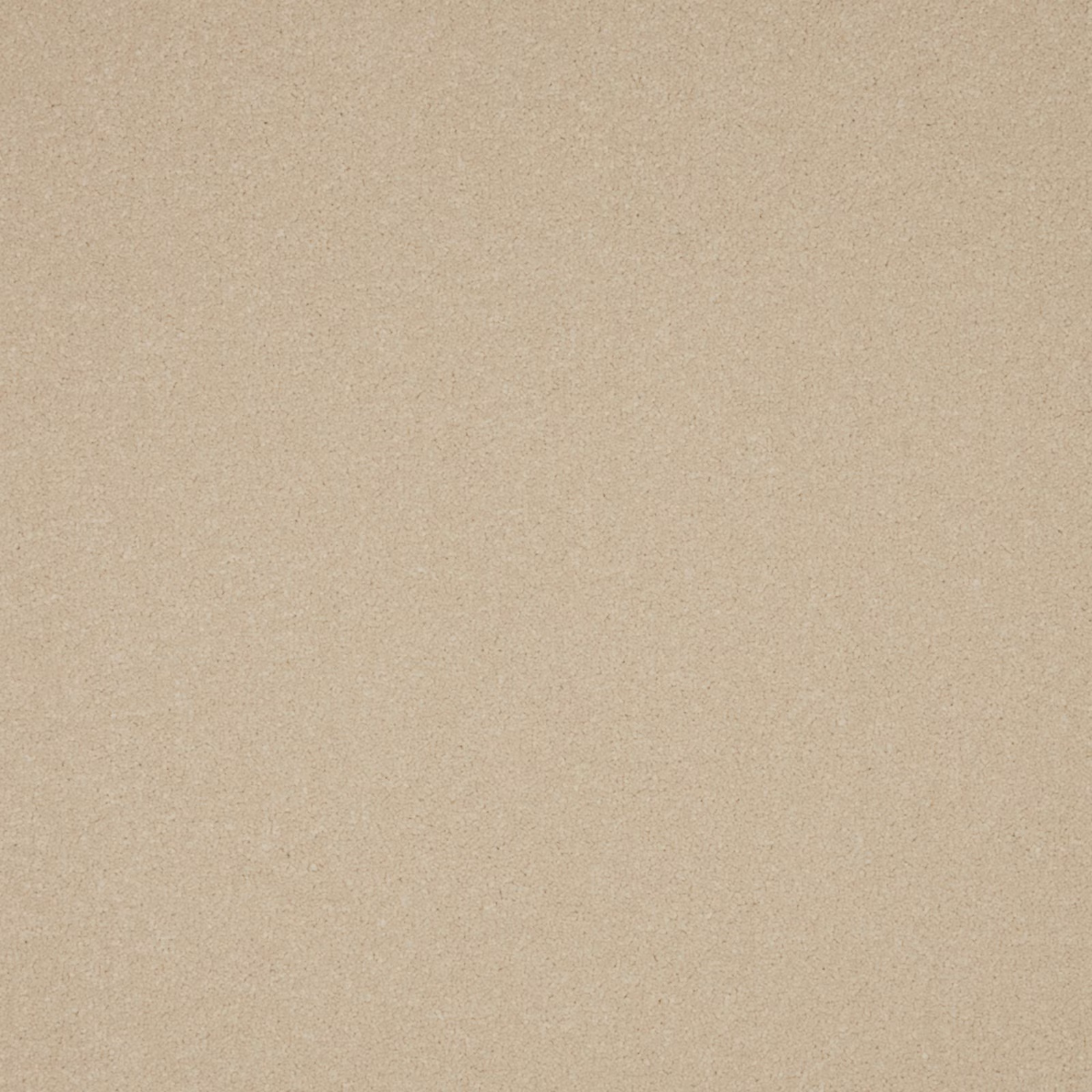 Warm sandy beige Ceramic carpet with a fine softly flecked textured surface