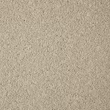 Close-up of warm greige Cloudy Bay carpet with dense, softly flecked looped pile