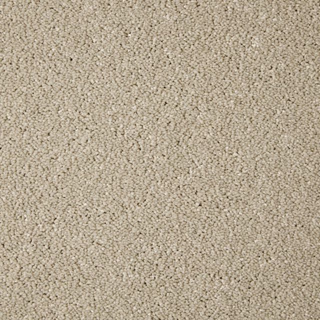 Close-up of warm greige Cloudy Bay carpet with dense, softly flecked looped pile