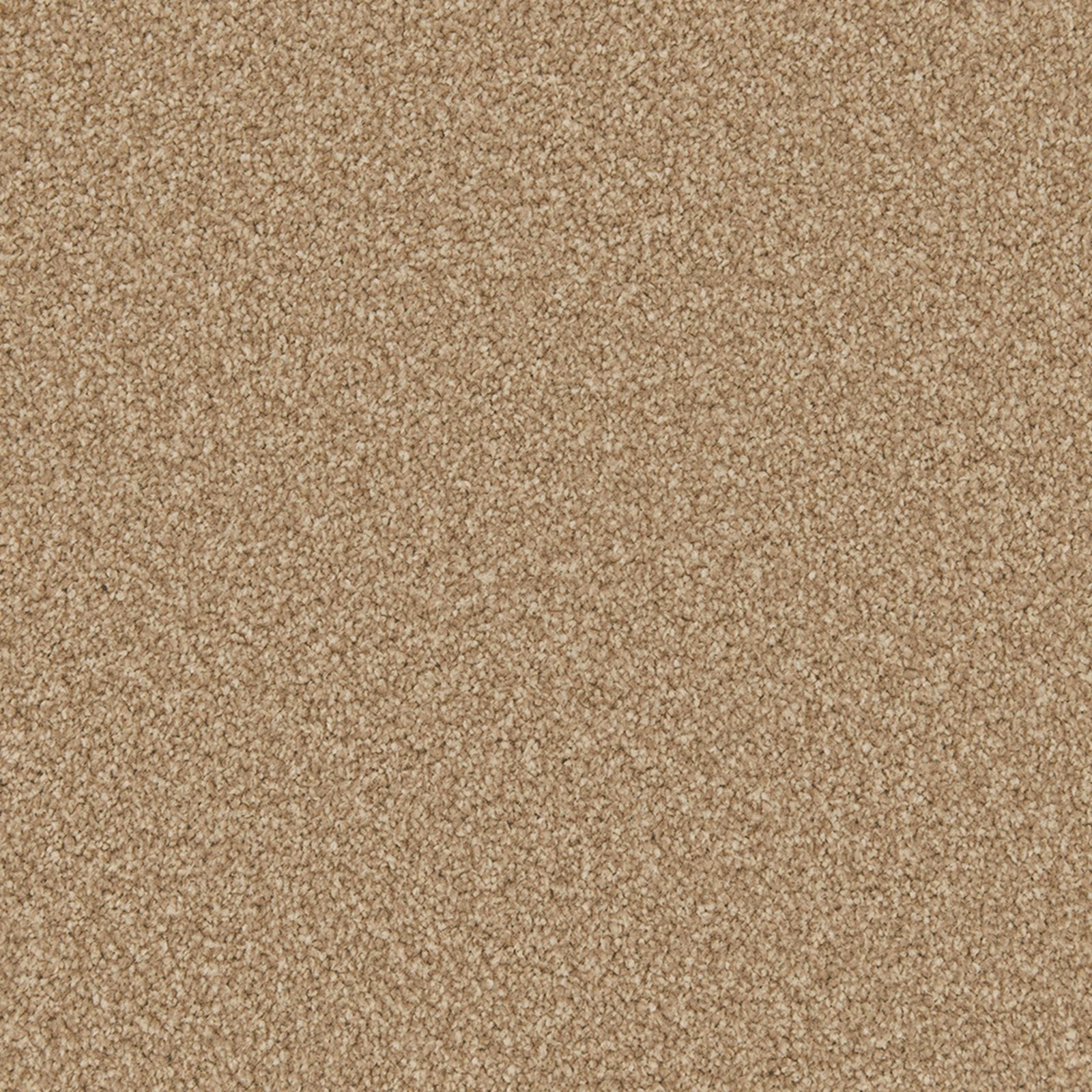 Warm oat-beige carpet with fine flecking and a dense softly mottled pile