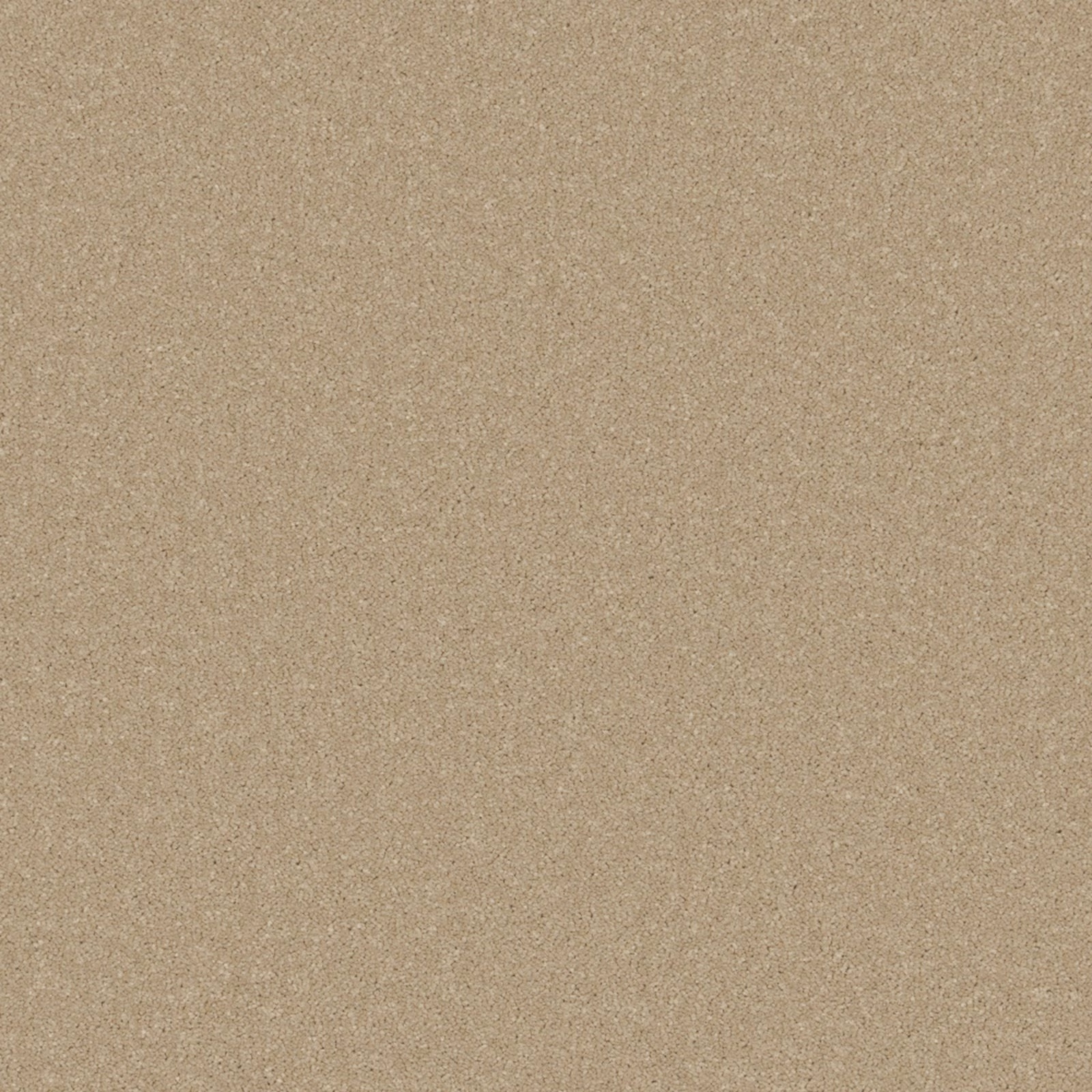 Warm taupe-beige carpet swatch with a fine, softly mottled grain