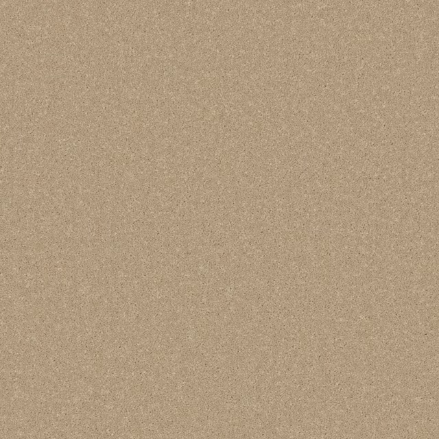 Warm taupe-beige carpet swatch with a fine, softly mottled grain