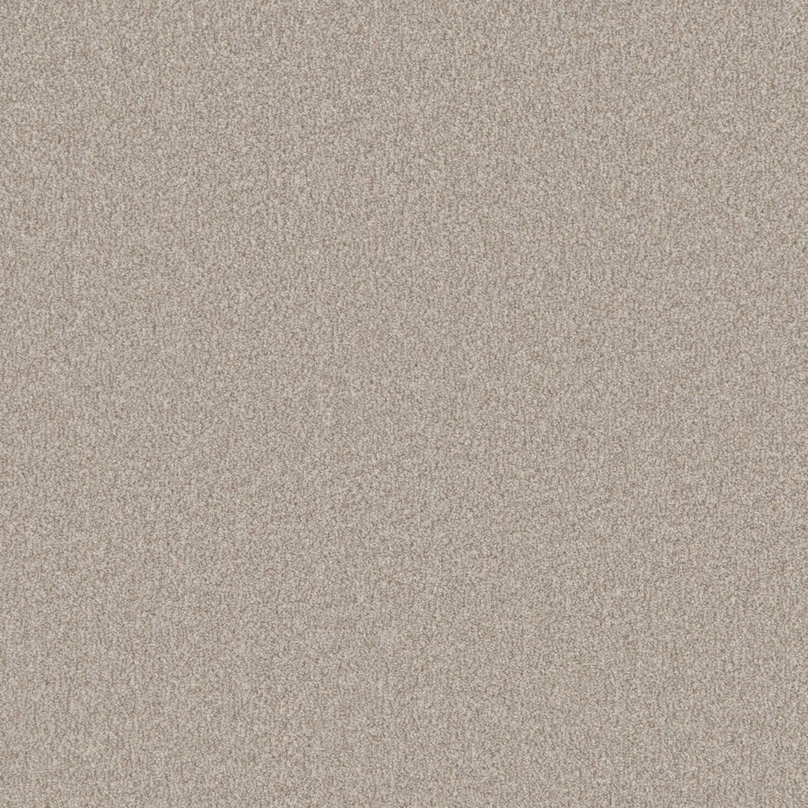 Warm beige-grey carpet with a fine, softly flecked, even texture
