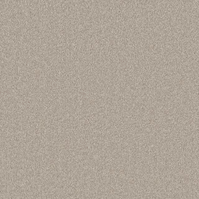 Warm beige-grey carpet with a fine, softly flecked, even texture