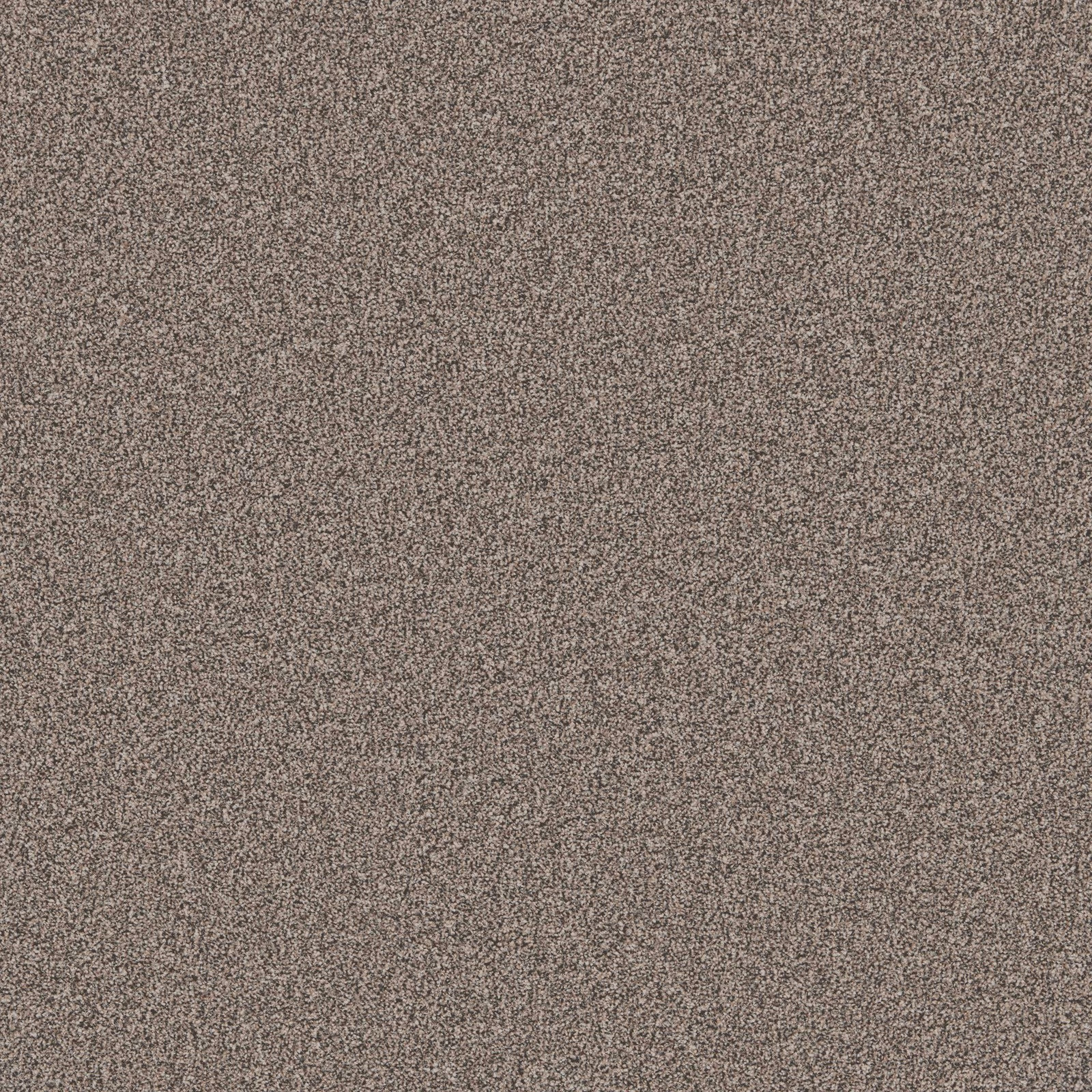 Dense Basalt carpet in warm taupe grey with fine peppered tonal flecking