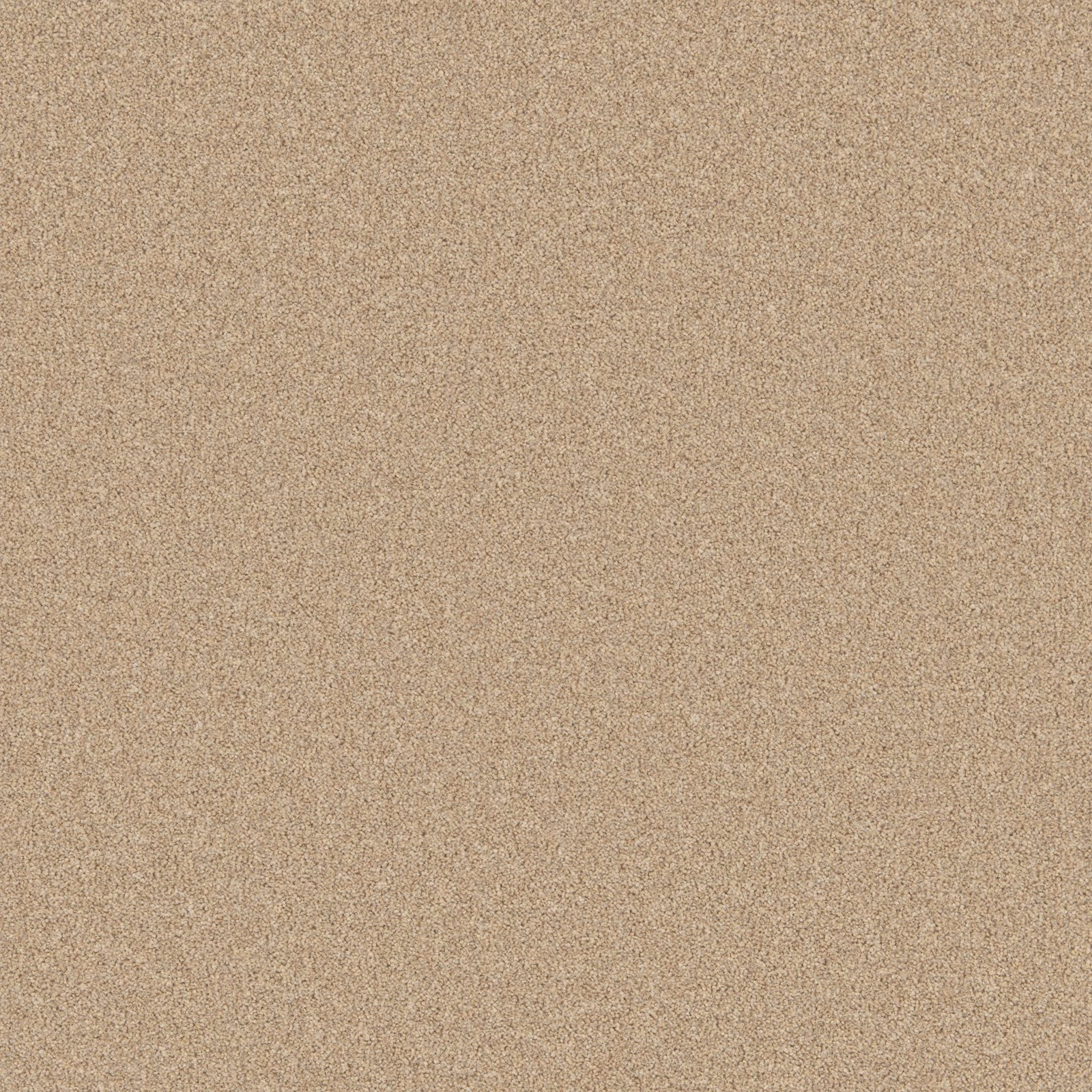 Warm oatmeal beige carpet with a fine, softly flecked low-pile texture