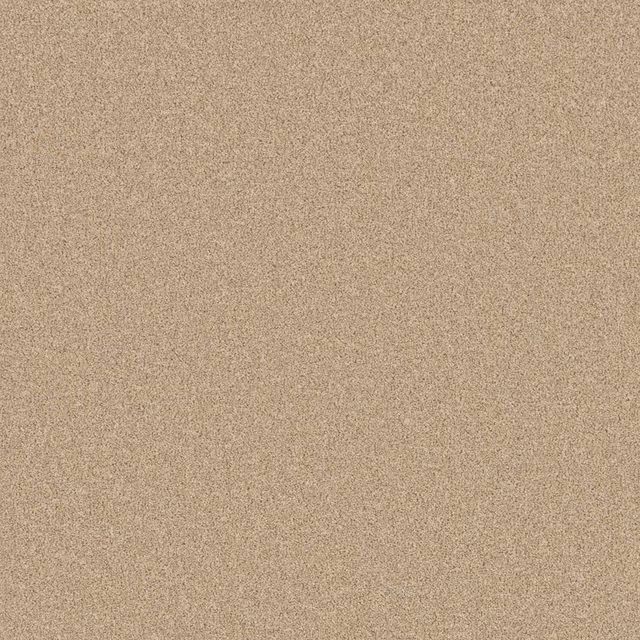 Warm oatmeal beige carpet with a fine, softly flecked low-pile texture
