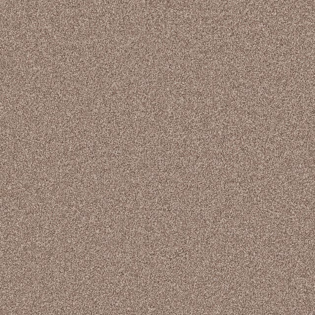 Warm taupe-brown carpet with a dense, finely mottled textured pile