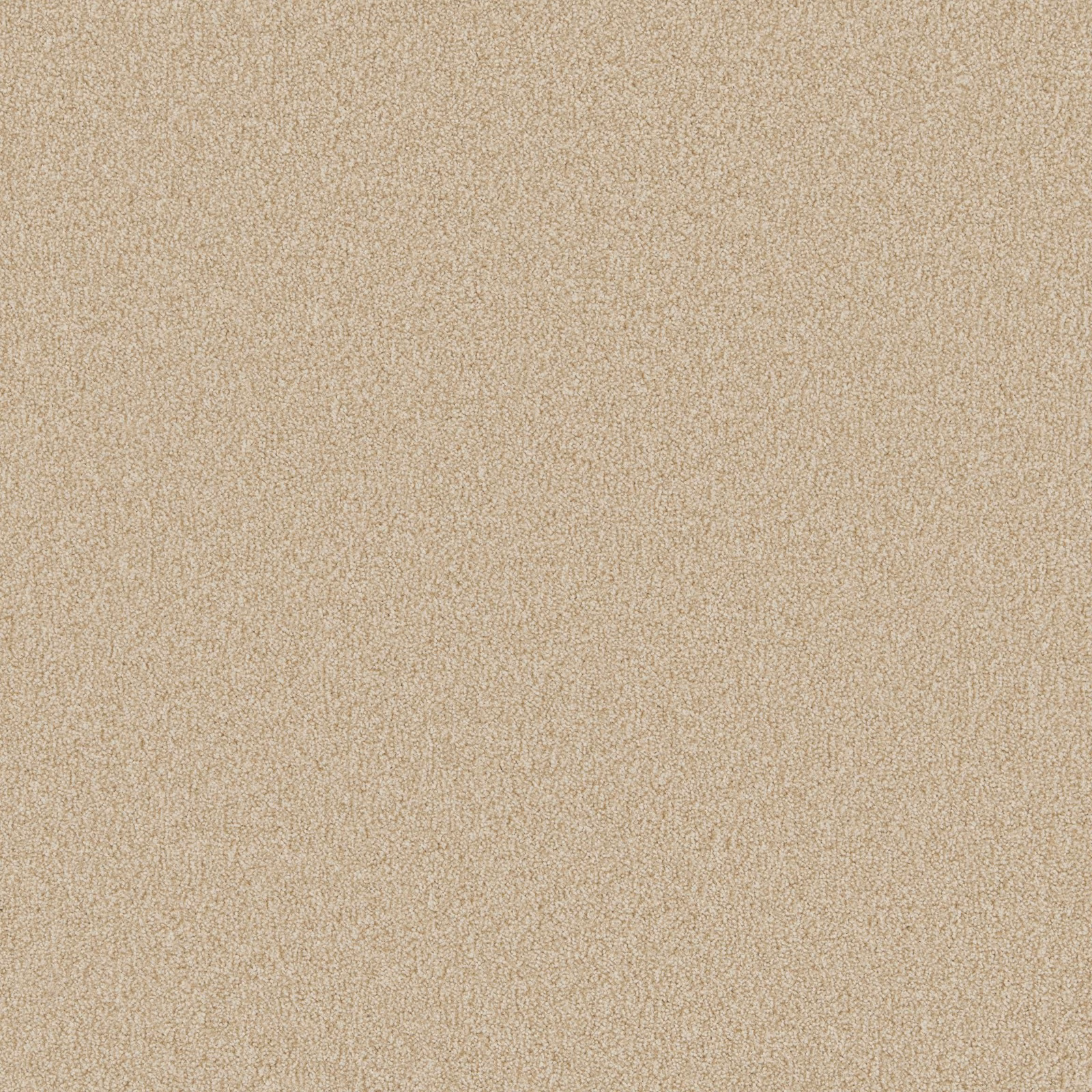 Warm oatmeal-beige carpet with a fine, softly flecked all-over texture