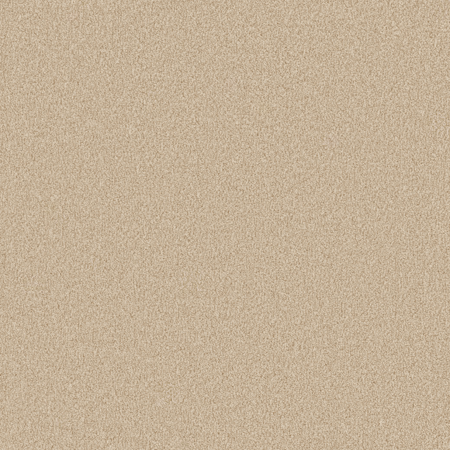 Warm oatmeal-beige carpet with a fine, softly flecked all-over texture
