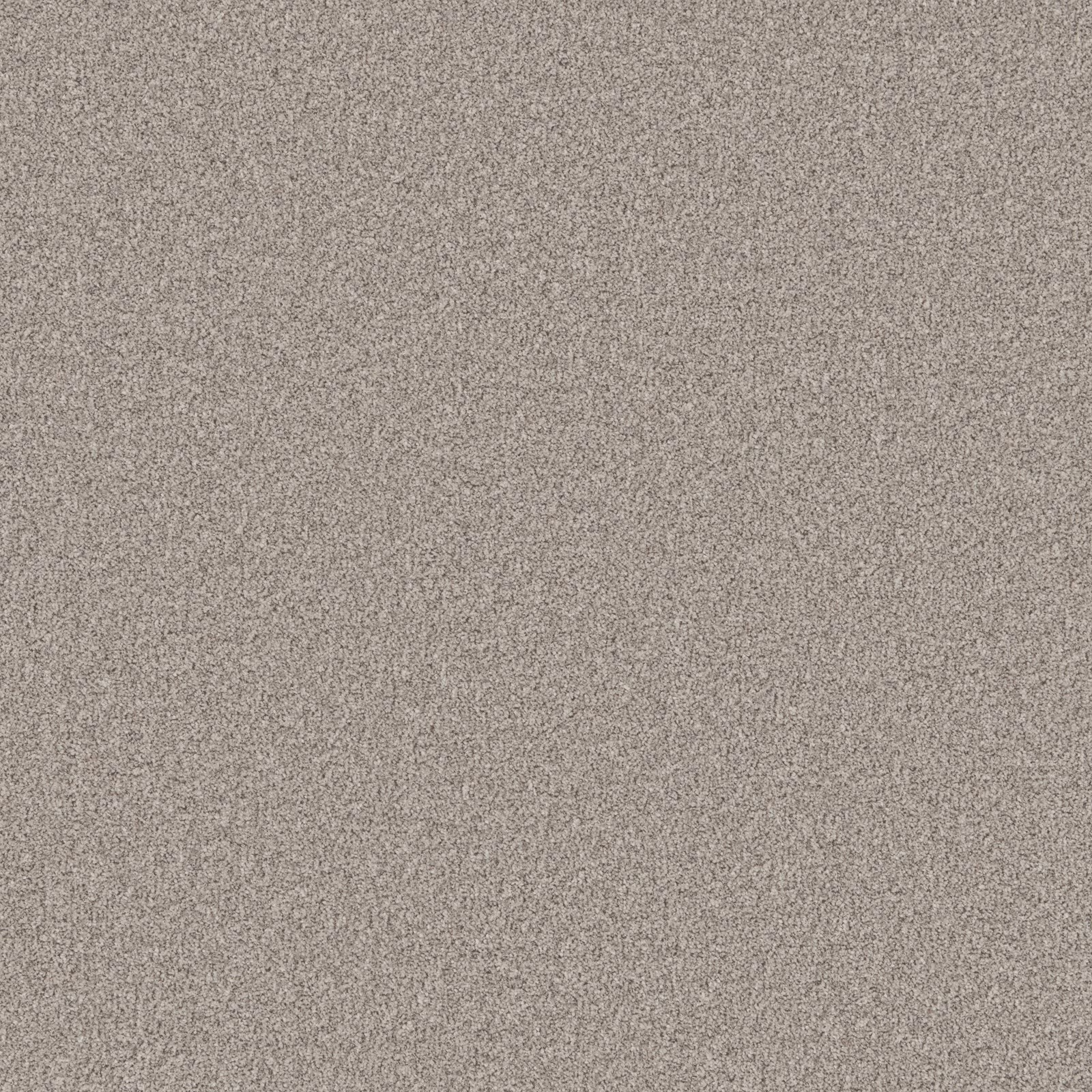 Close view of softly mottled taupe-grey carpet with fine, even pile