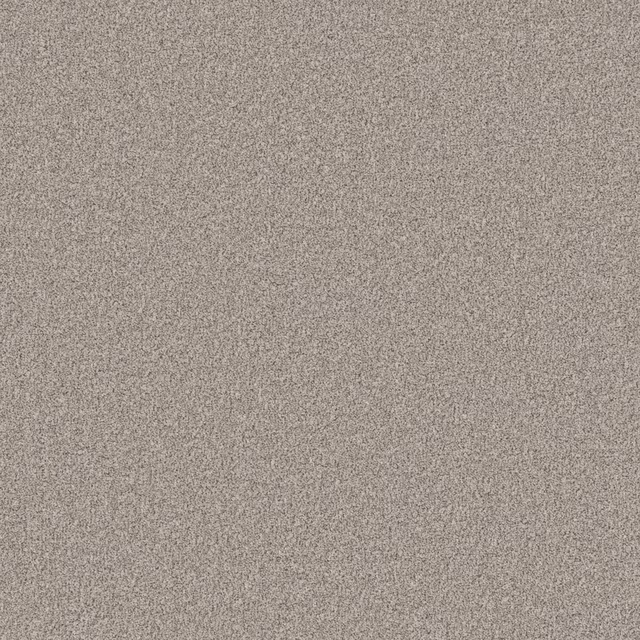 Close view of softly mottled taupe-grey carpet with fine, even pile