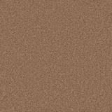 Warm pecan-brown carpet with a fine, softly flecked textured surface