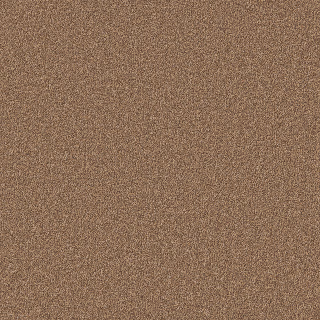 Warm pecan-brown carpet with a fine, softly flecked textured surface