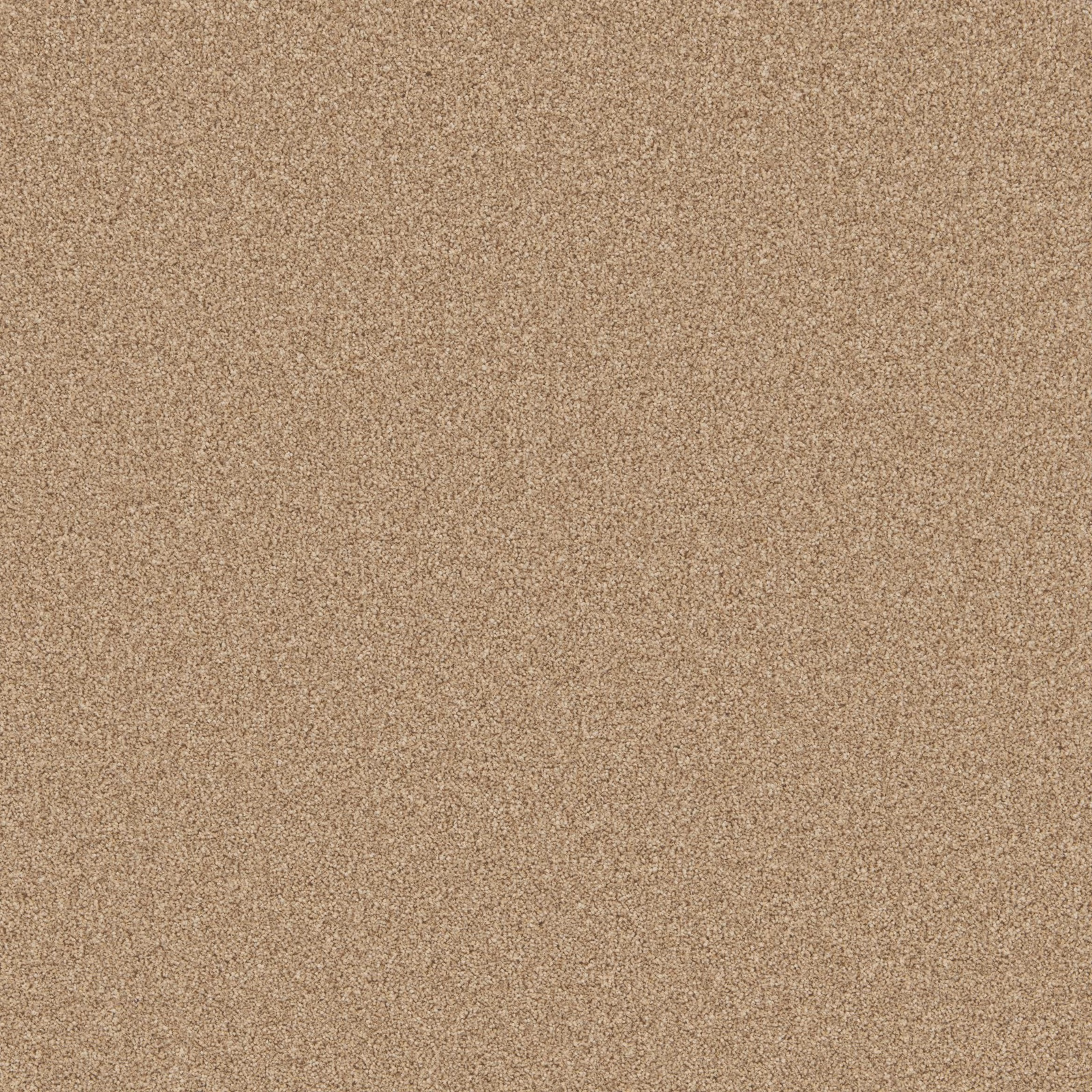 Warm taupe-beige carpet swatch with a dense, finely mottled granular texture