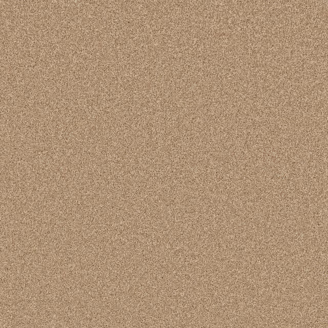 Warm taupe-beige carpet swatch with a dense, finely mottled granular texture