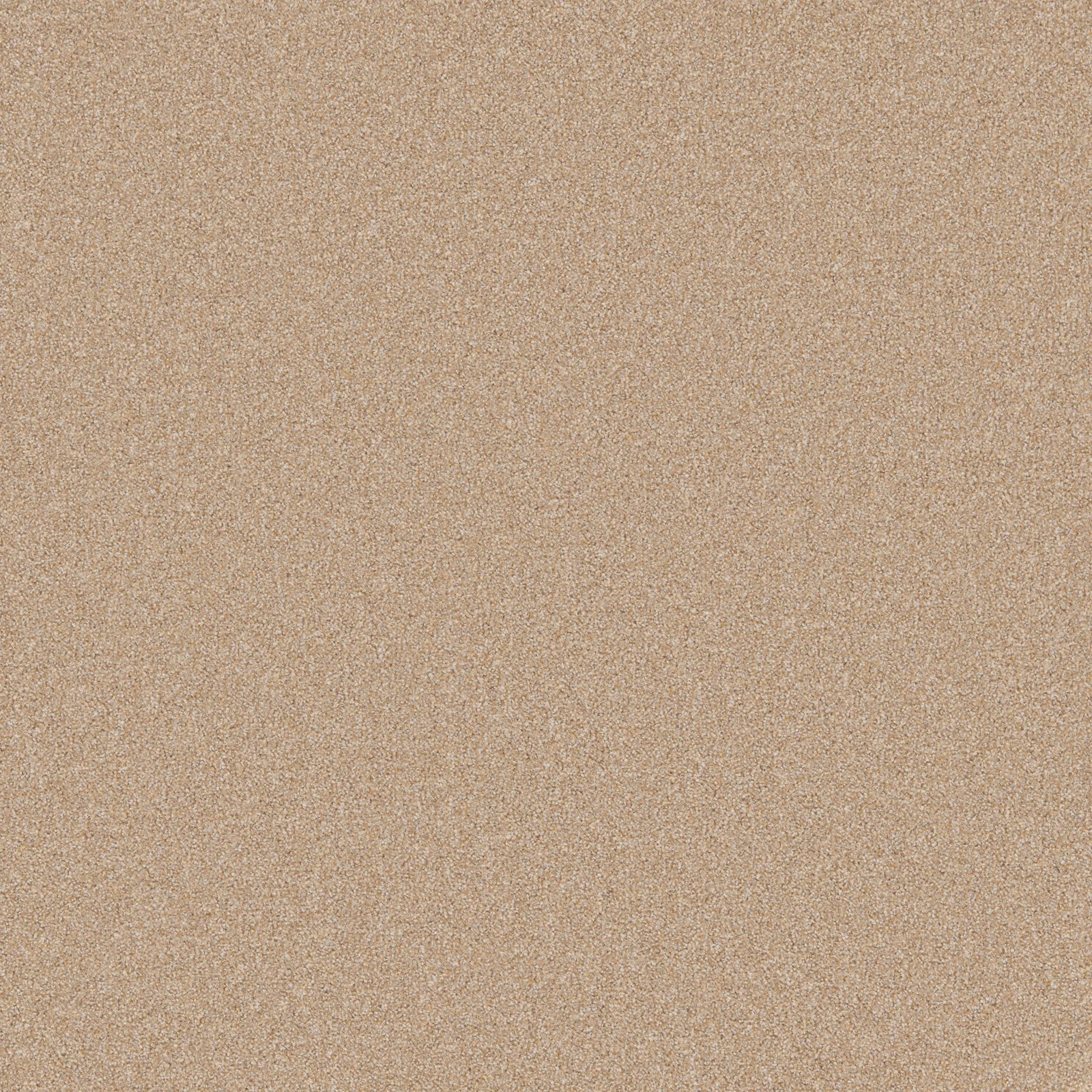Warm tan beige carpet with a finely mottled, short-pile textured surface