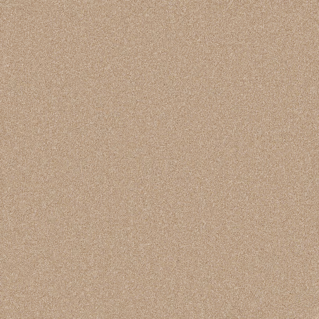 Warm tan beige carpet with a finely mottled, short-pile textured surface