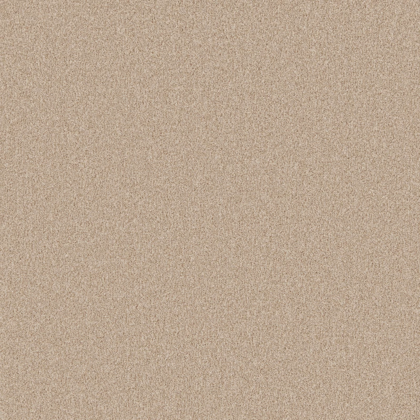 Warm honey-beige carpet swatch with fine taupe mottling and softly textured surface