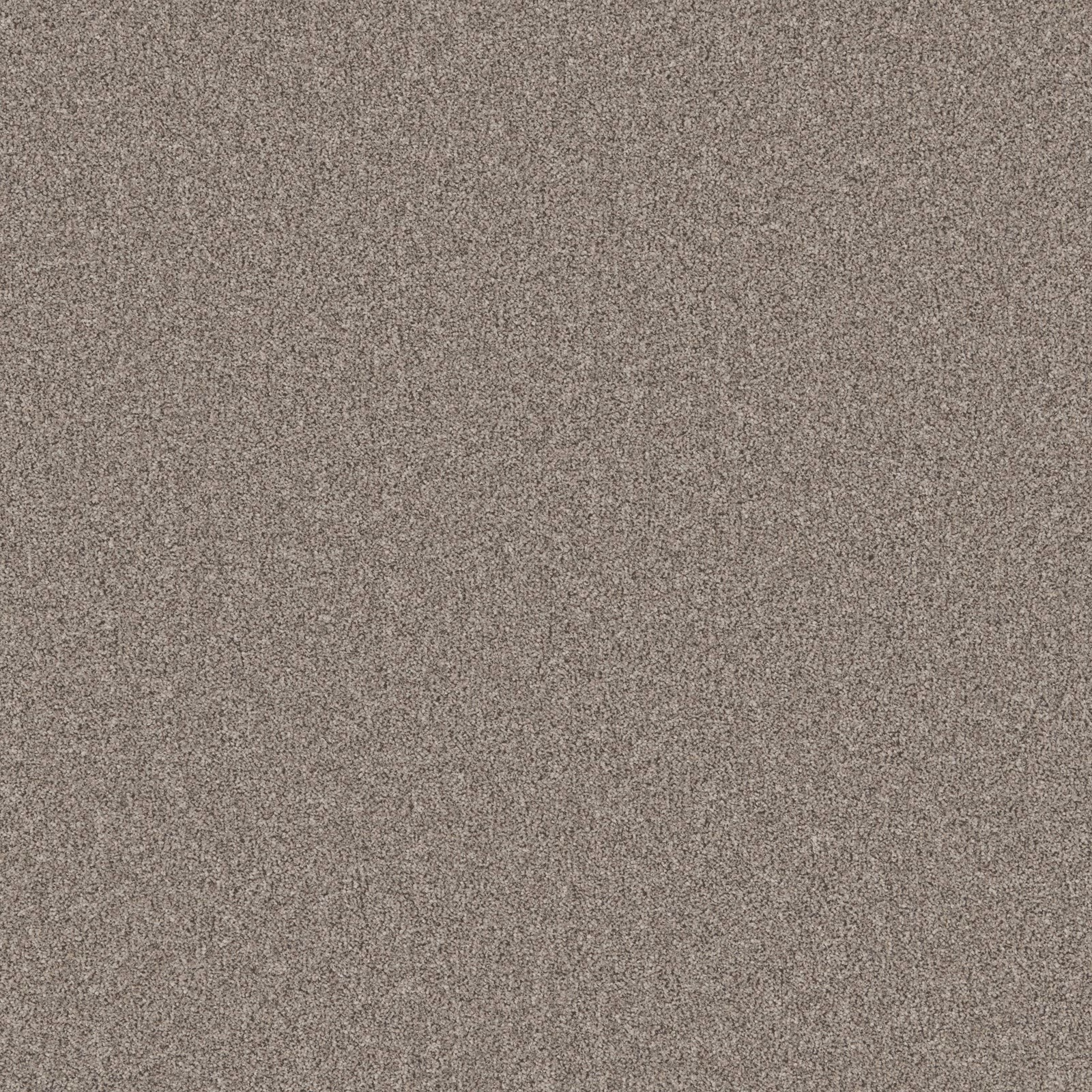 Warm taupe-grey carpet with fine, softly mottled low-pile texture