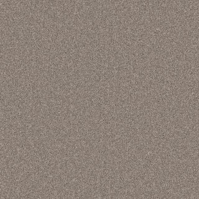 Warm taupe-grey carpet with fine, softly mottled low-pile texture