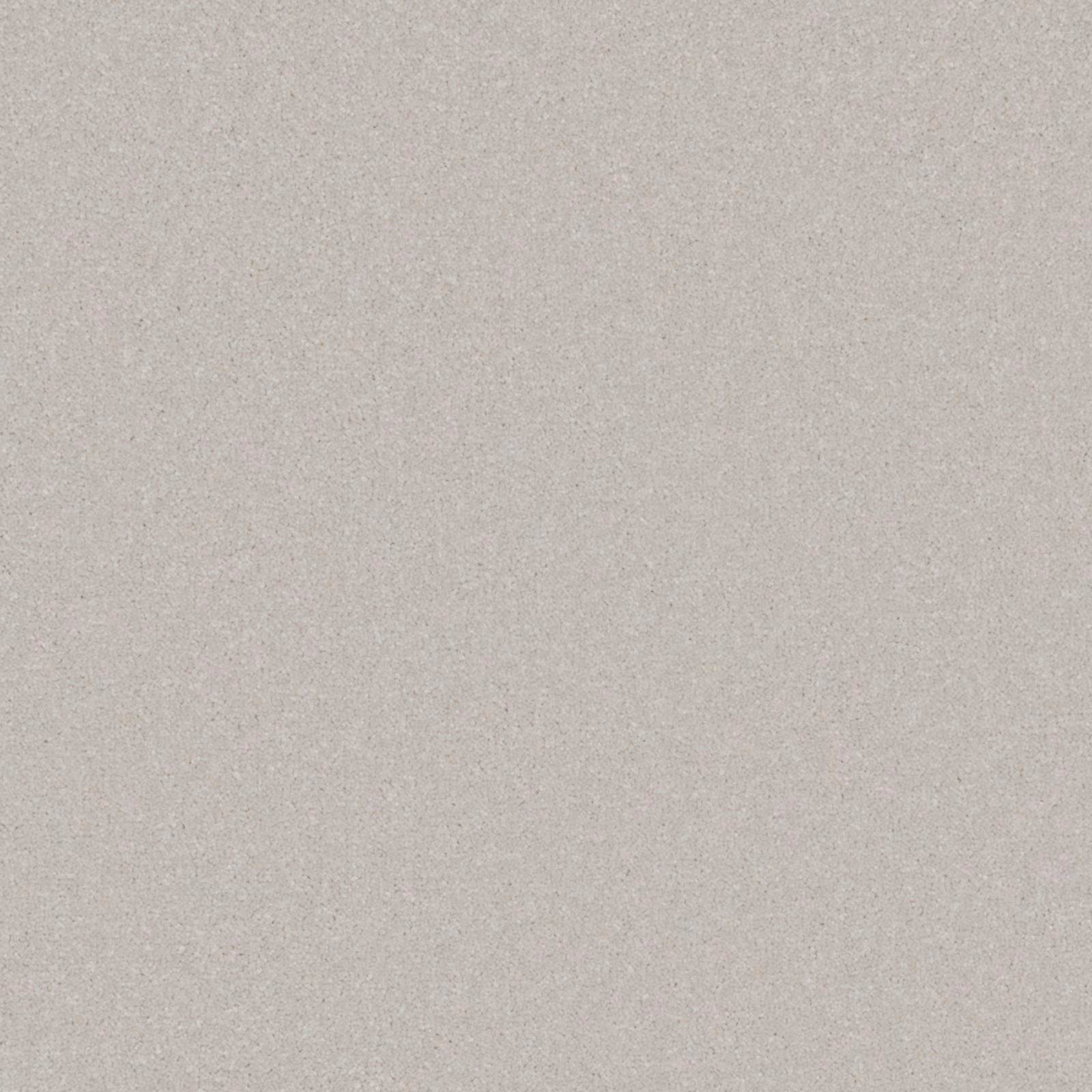 Pale warm-grey carpet with fine speckled texture and dense, even pile