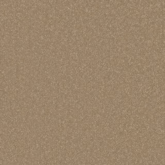 Warm taupe-brown chenille swatch with a softly mottled, plush-looking plain texture