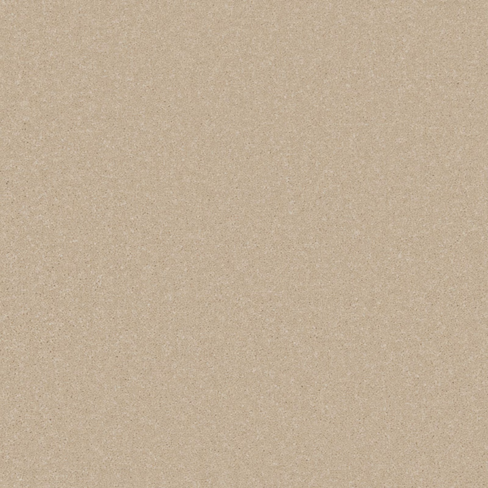 Warm taupe-beige carpet swatch with a fine, even low-pile texture