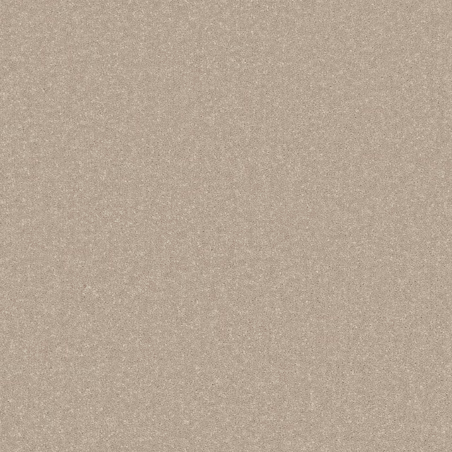 Warm clay taupe carpet with a fine softly mottled textured surface