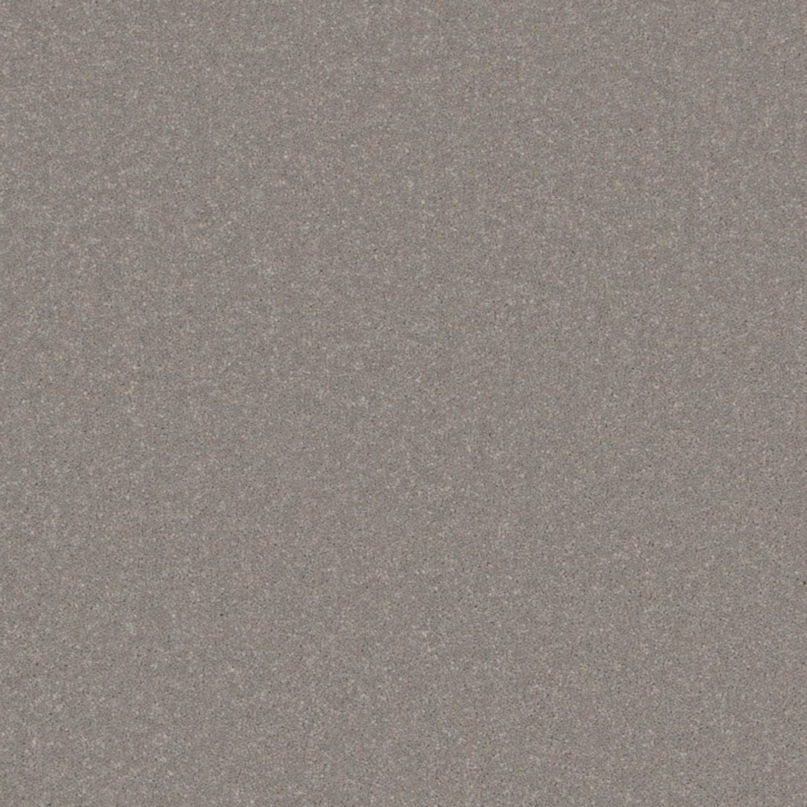 Close-up of warm French Grey carpet with dense, softly flecked short texture