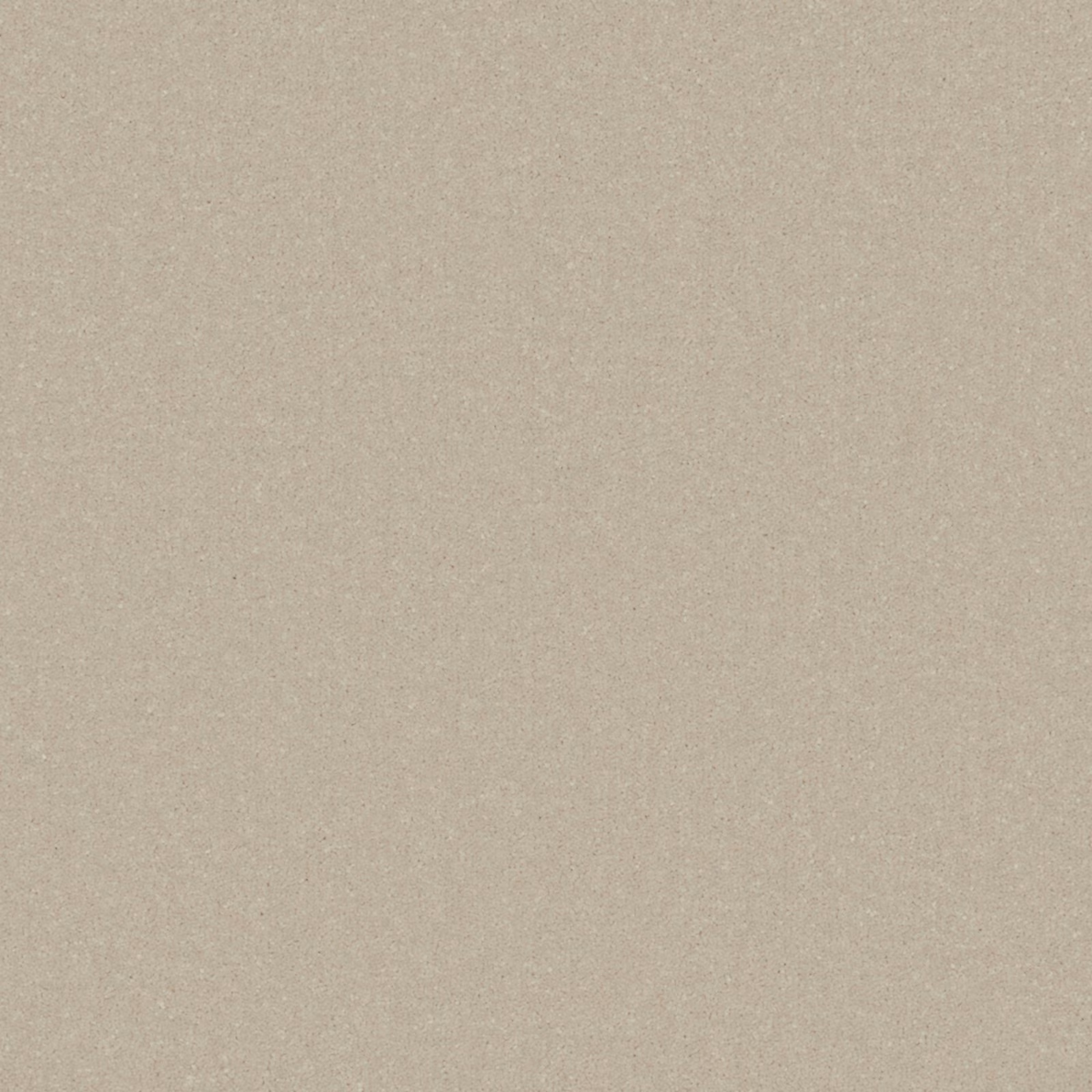 Warm greige-taupe Manilla carpet with a softly flecked, low-contrast surface