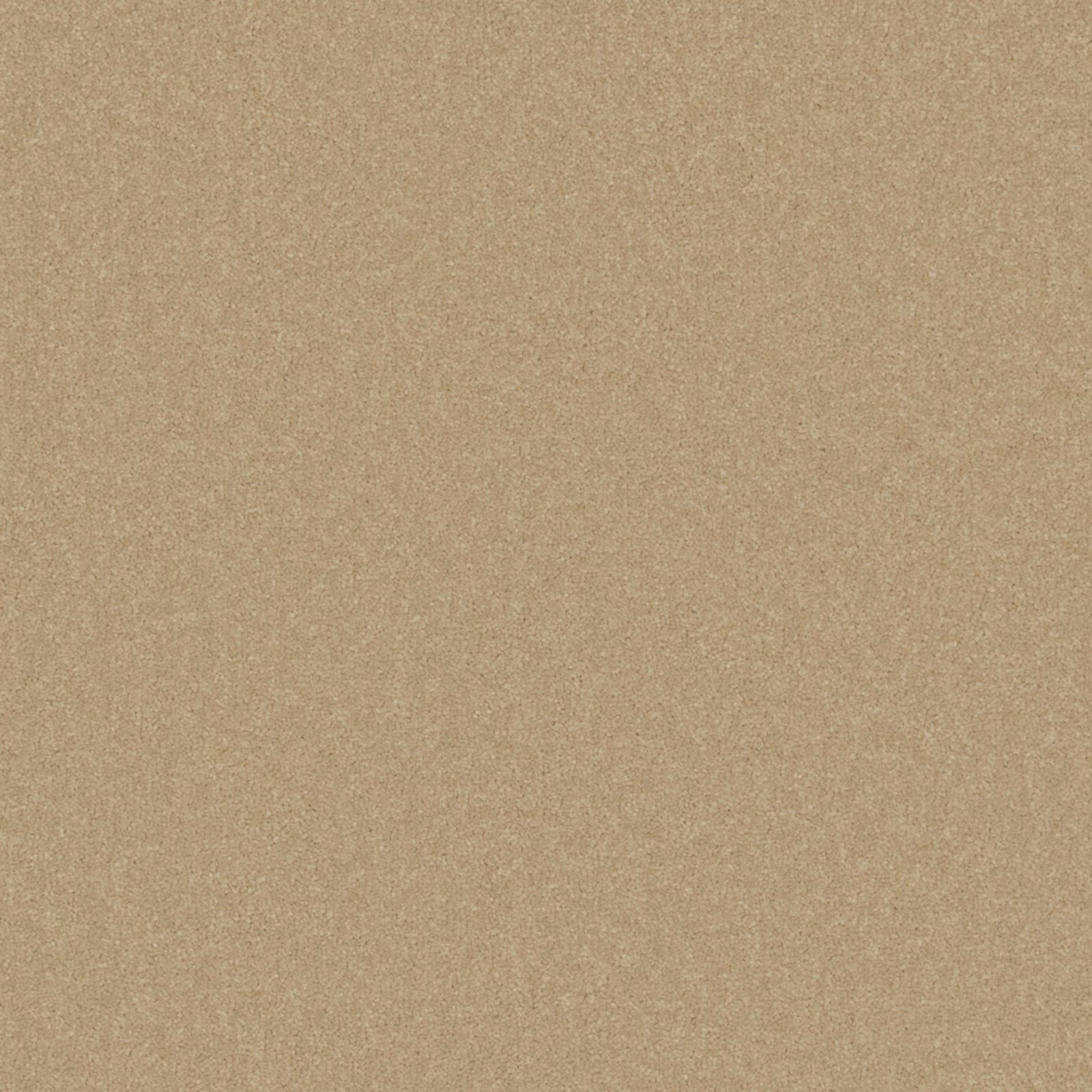 Warm mushroom-taupe carpet with a fine, even softly mottled surface