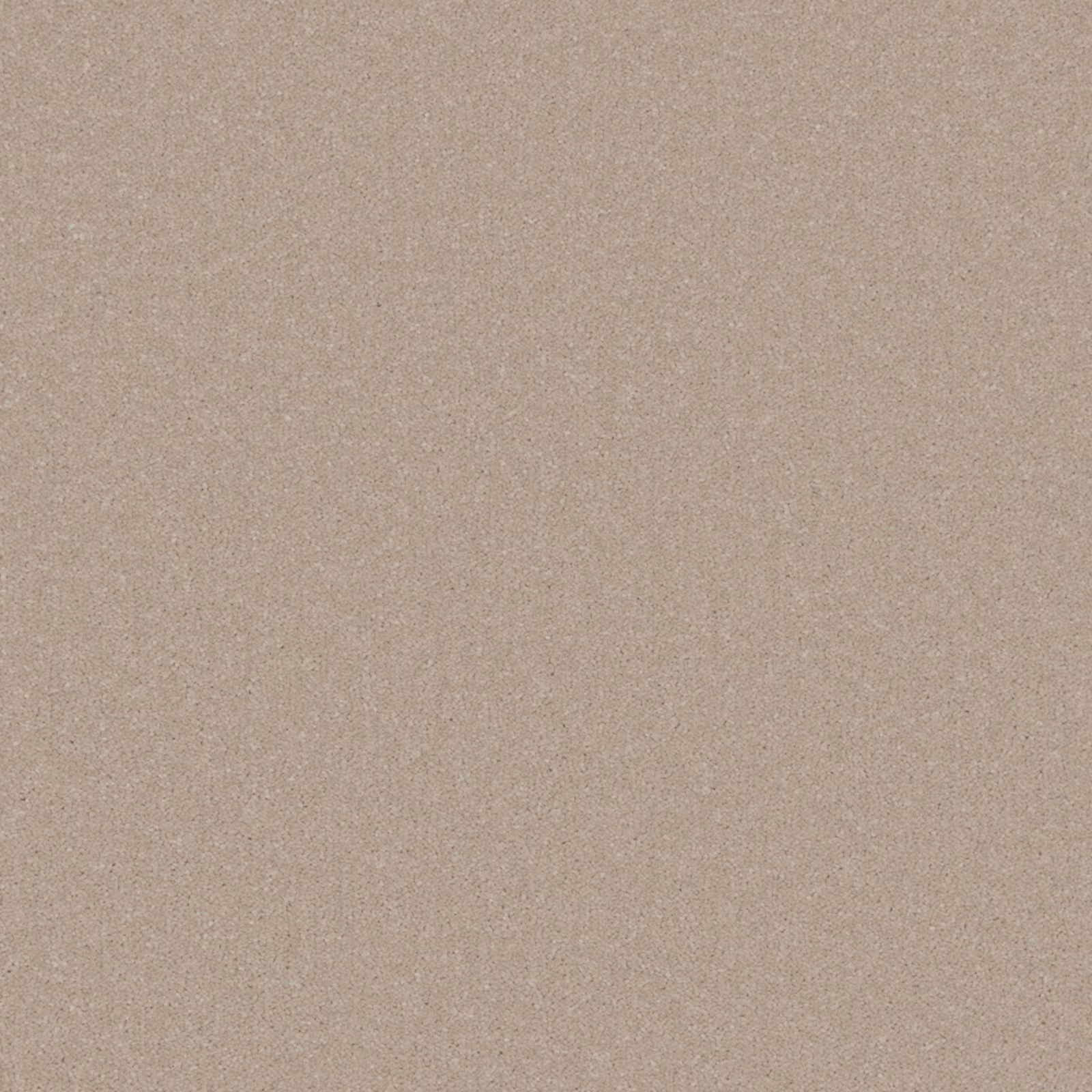 Warm mushroom beige carpet with a fine, softly mottled textured surface