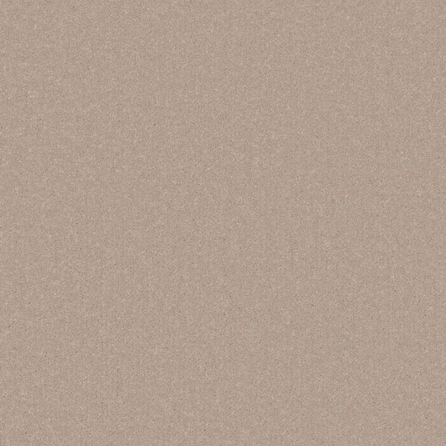Warm mushroom beige carpet with a fine, softly mottled textured surface