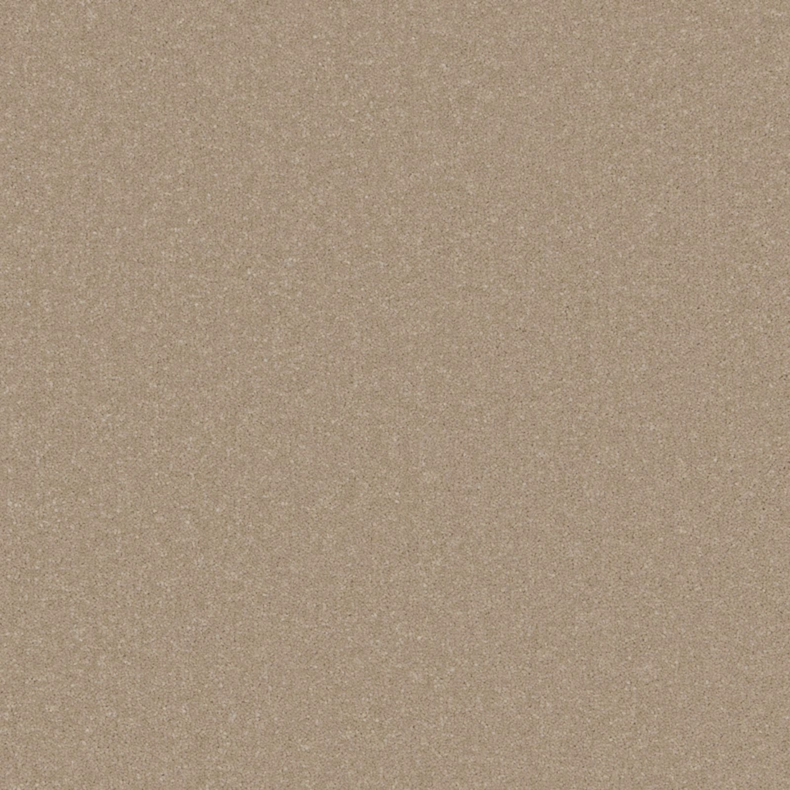 Warm taupe-beige carpet with a fine, softly mottled low-pile texture