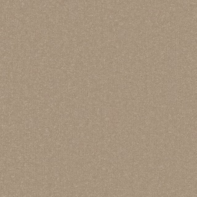 Warm taupe-beige carpet with a fine, softly mottled low-pile texture