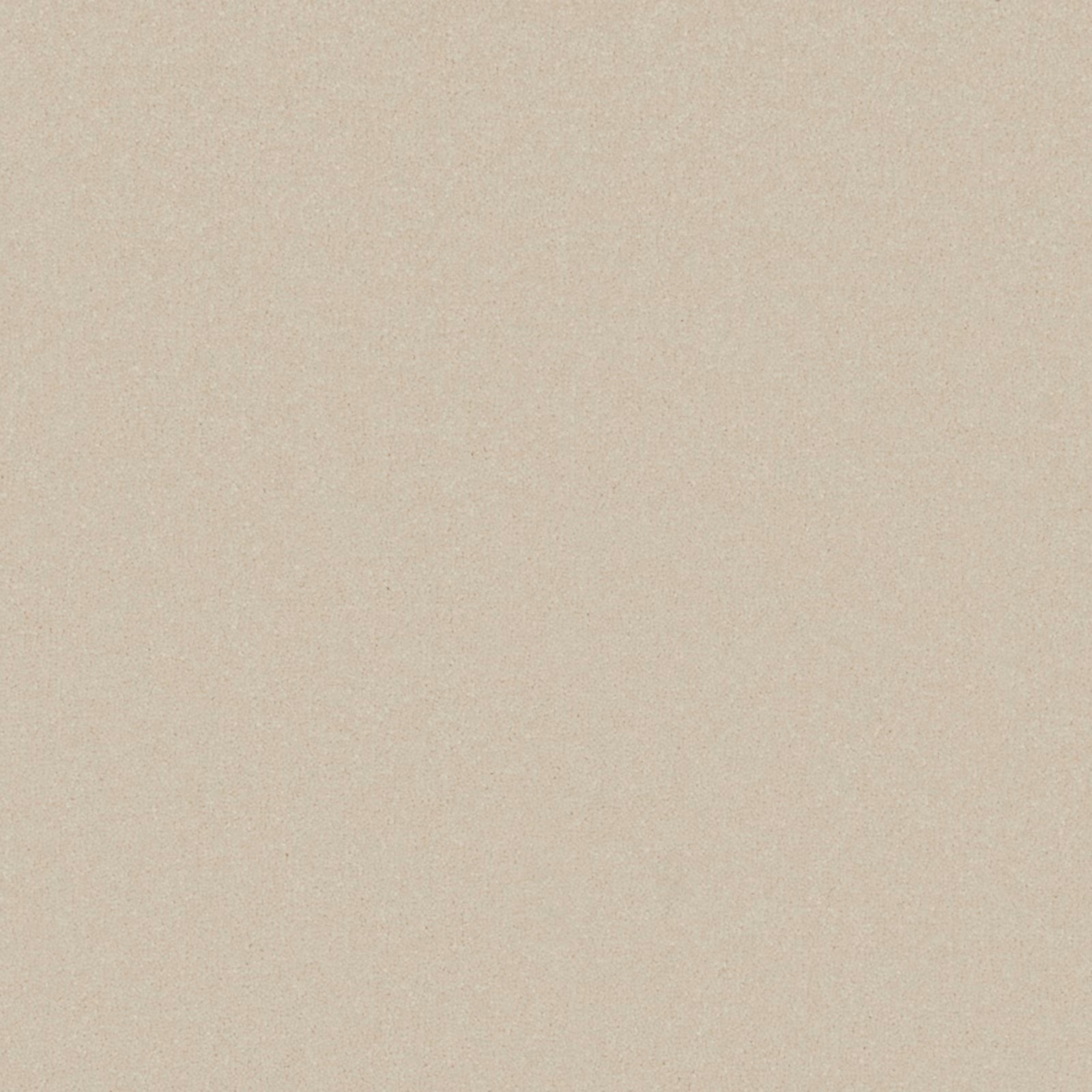 Pale warm greige carpet swatch with a fine, softly mottled texture