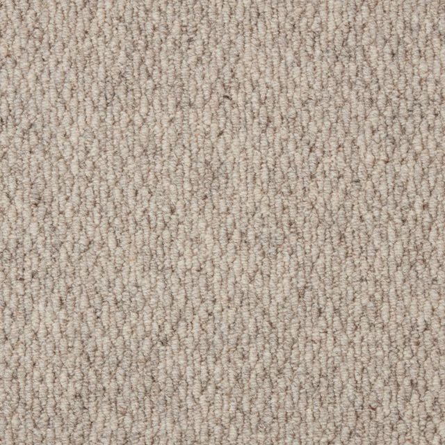 Pale taupe Moon Mist carpet with a tightly textured vertical loop pile