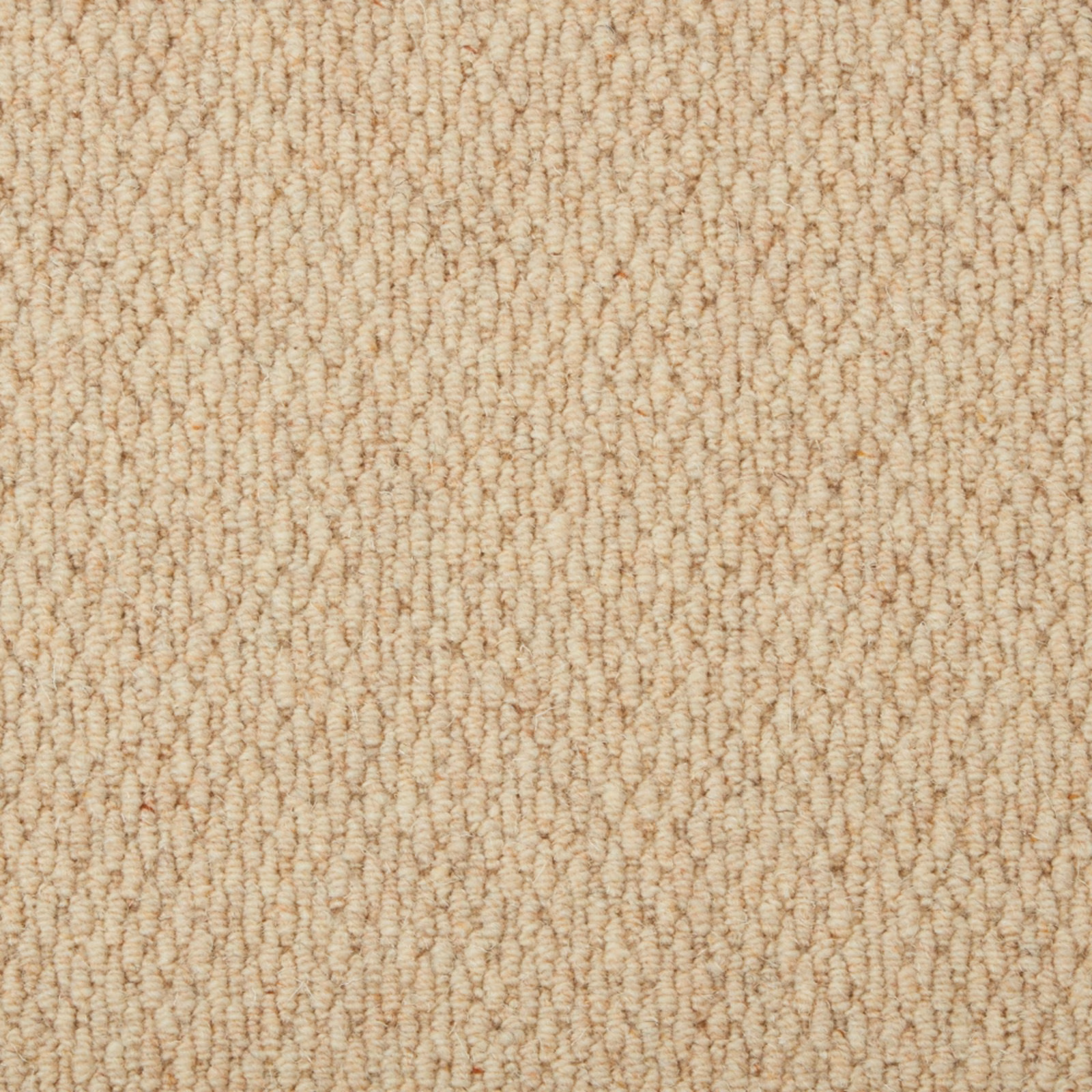 Warm oatmeal-beige carpet with dense cream loops and subtle vertical ridges