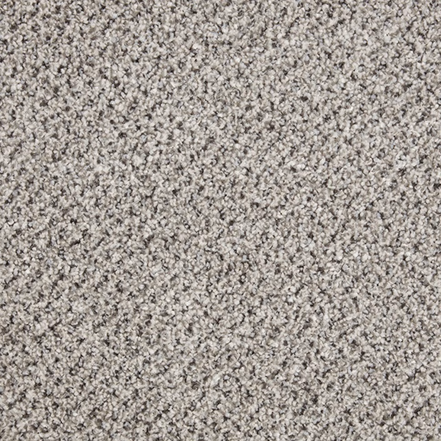 Cool grey-beige Cloudburst carpet with dense salt-and-pepper textured pile