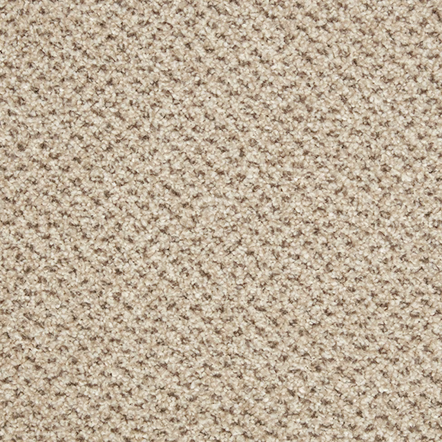 Dense oatmeal-beige carpet surface with cream and brown tweed-like flecks