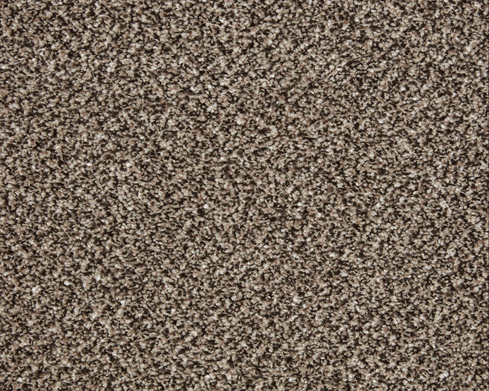 Close-up of Rock Heath carpet in mottled taupe, brown, grey and cream flecks