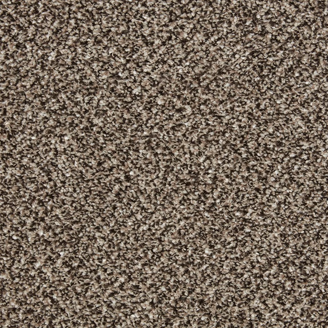 Close-up of Rock Heath carpet in mottled taupe, brown, grey and cream flecks