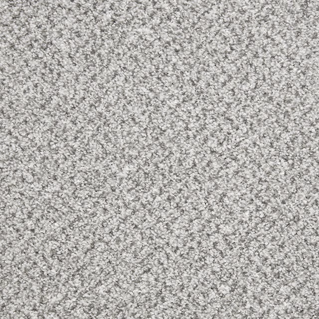 Cool grey carpet with dense salt-and-pepper texture and softly mottled pile