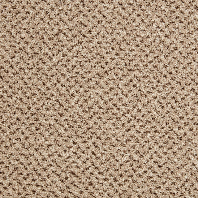 Close-up of warm beige carpet with dense brown-and-cream flecked texture
